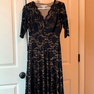 CAbi Fit and flare black lace overlay cocktail dress